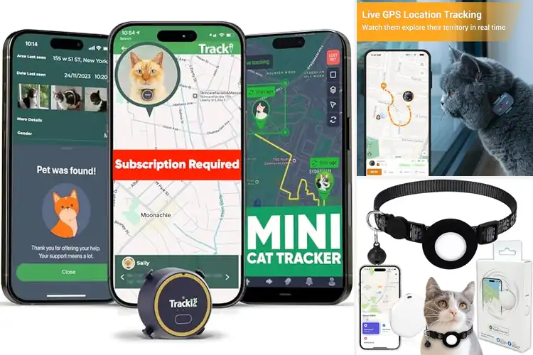 Detailed view of Best 12 Month Cat Tracker Warranty