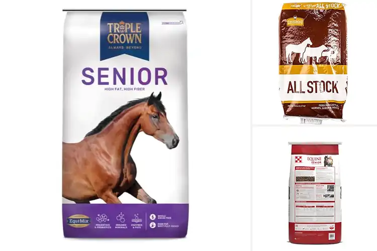 Detailed view of Best 50 Lb Horse Feeds