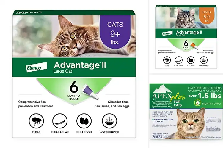Detailed view of Best 6 Month Cat Protection Supply