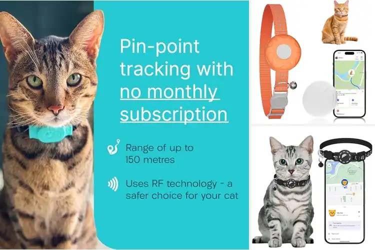 Detailed view of Best Acoustic Alert Cat Trackers
