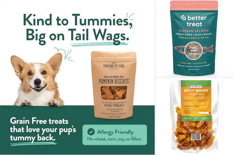 Detailed view of Best Additive Free Dog Treats