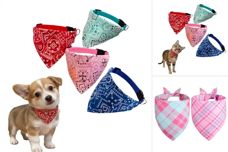Detailed view of Best Adjustable Bandana Size For Pets Neck