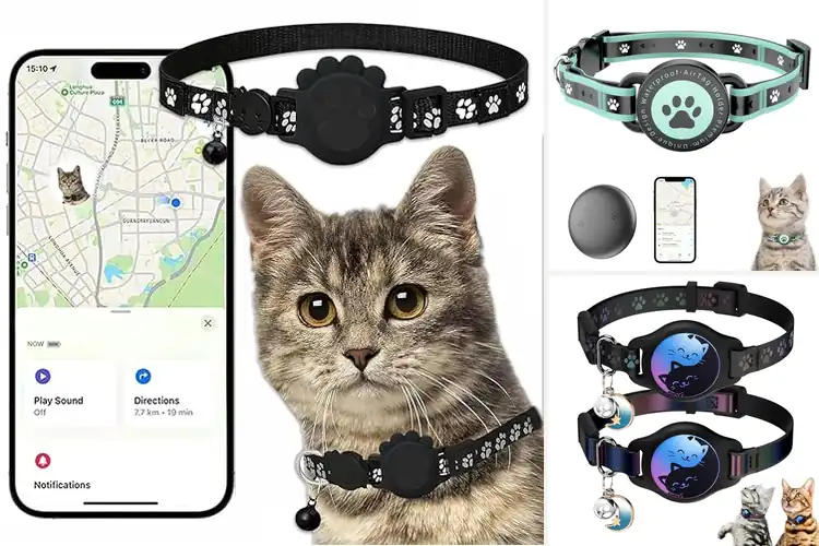 Detailed view of Best Adjustable Cat Collar Trackers