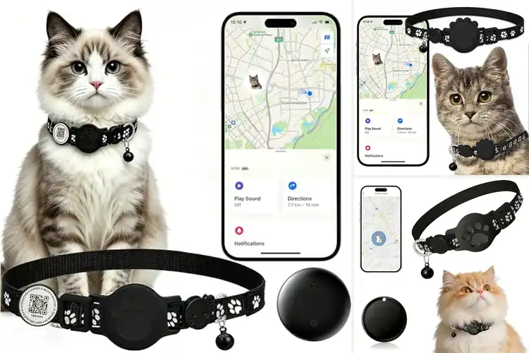Detailed view of Best Adjustable Cat Collars For Trackers