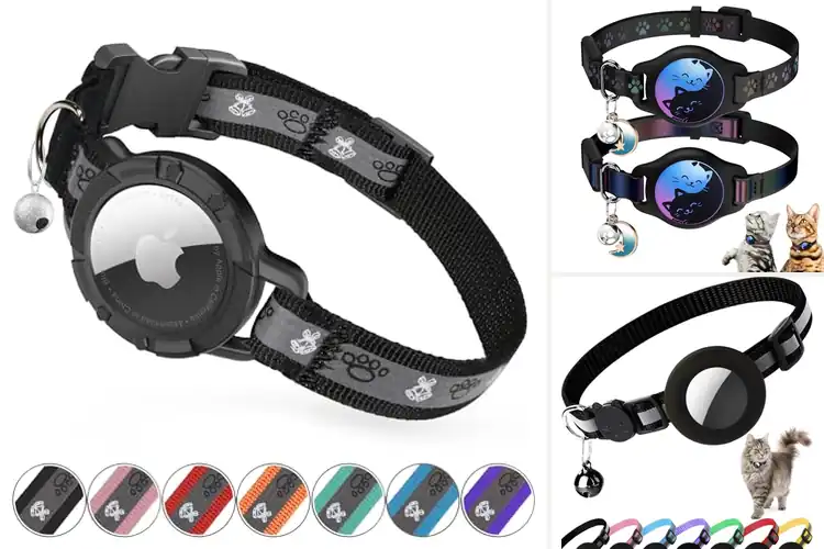 Detailed view of Best Adjustable Cat Collars with Tracker