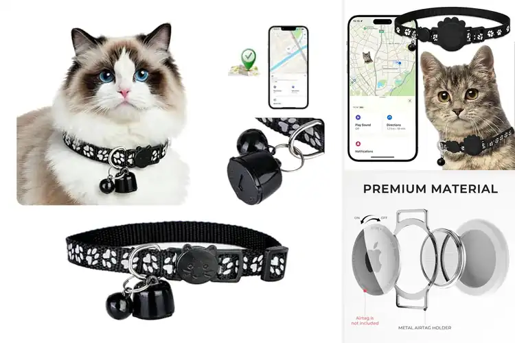 Detailed view of Best Adjustable Cat Tracker Collar 7.87 To 13 Inches