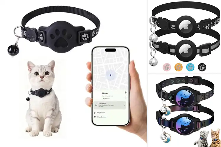 Detailed view of Best Adjustable Collar Trackers