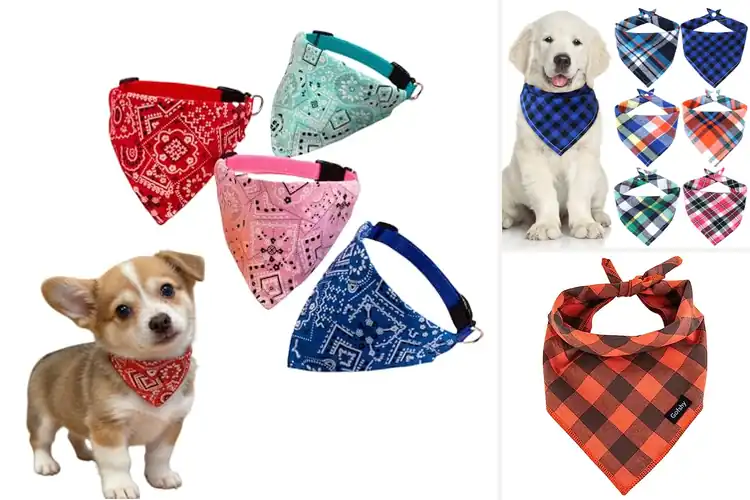 Detailed view of Best Adjustable Dog Bandana For Neck