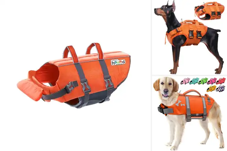 Detailed view of Best Adjustable Dog Life Jacket For All Breeds
