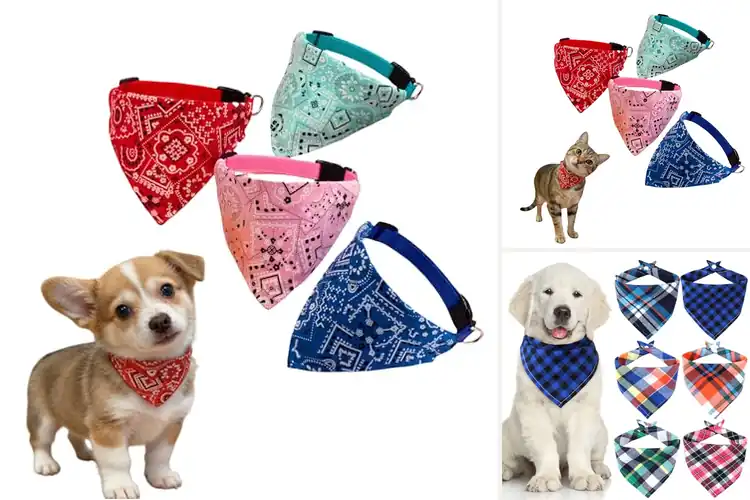 Detailed view of Best Adjustable Pet Bandana For Neck