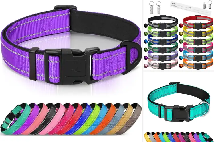 Detailed view of Best Adjustable Pet Collars