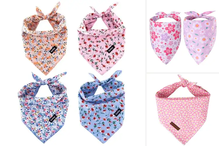 Detailed view of Best Adorable Puppy Bandanas
