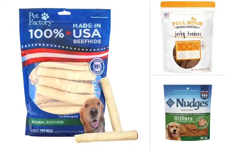 Detailed view of Best American Made Dog Products: 10 Tail-Wagging Essentials