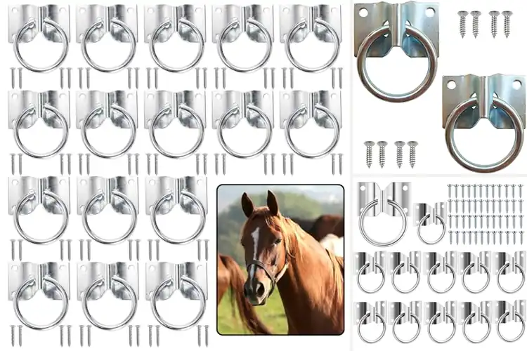 Detailed view of Best Animal Tie Rings