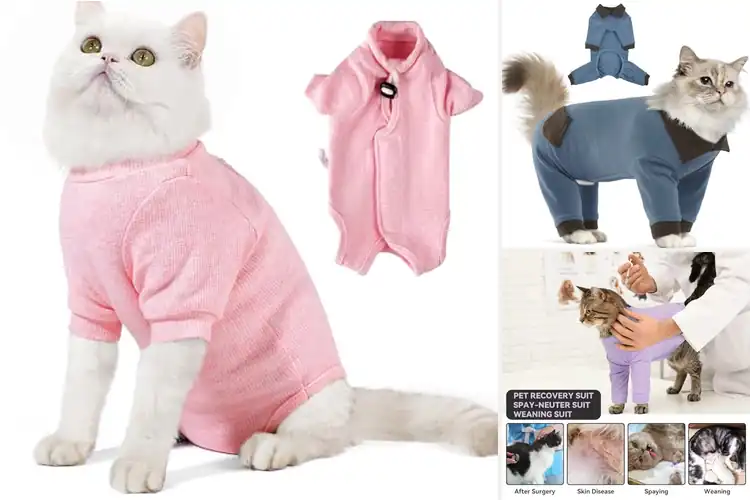 Detailed view of Best Anti-Shedding Cat Suits