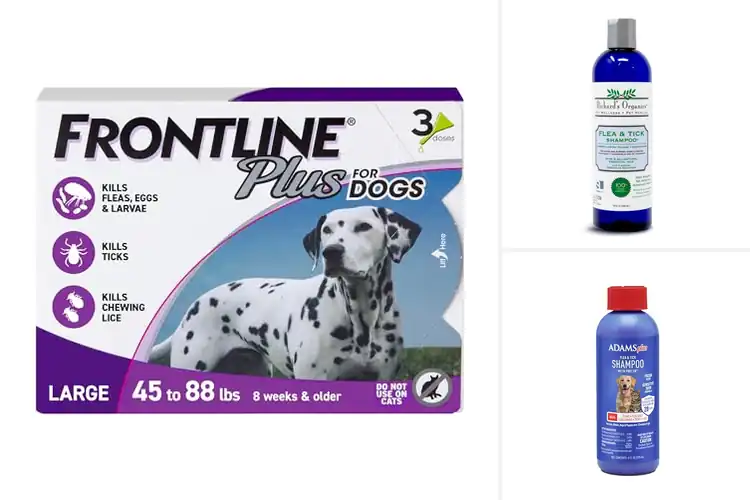 Detailed view of Best Anti-Tick Products For Dogs