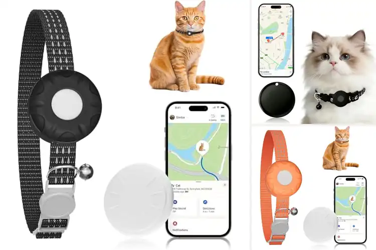 Detailed view of Best Apple Find My Compatible Cat Trackers