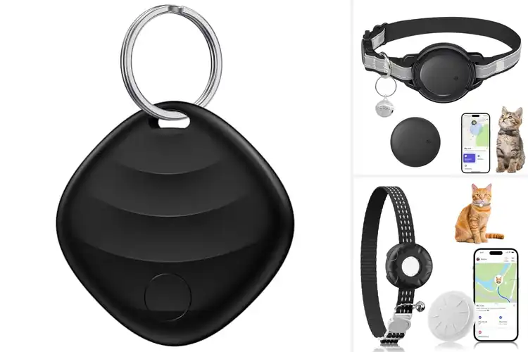Detailed view of Best Apple Find My Compatible Pet Trackers