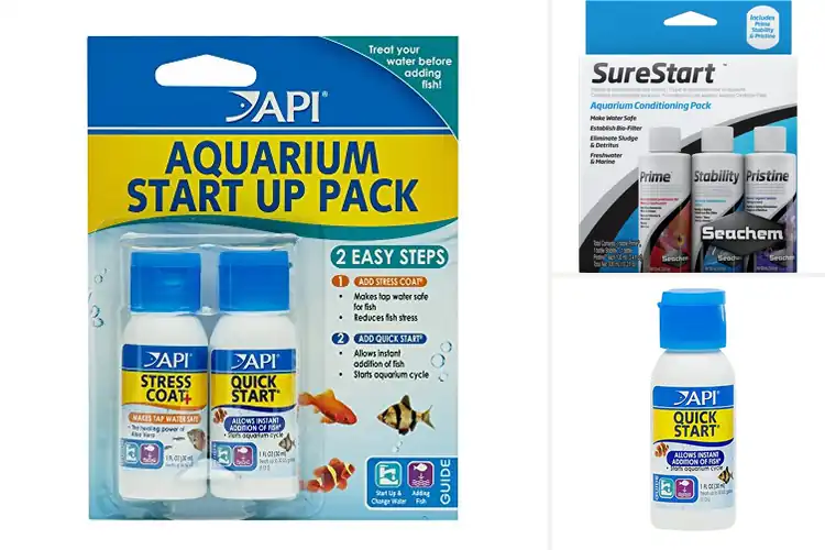 Detailed view of Best Aquarium Starters