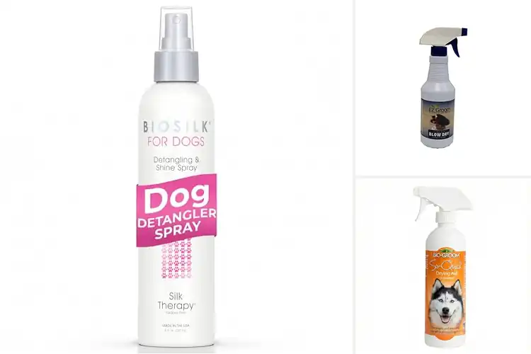 Detailed view of Best At-Home Grooming Sprays