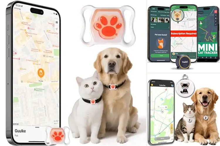 Detailed view of Best Battery Life Cat Tracker