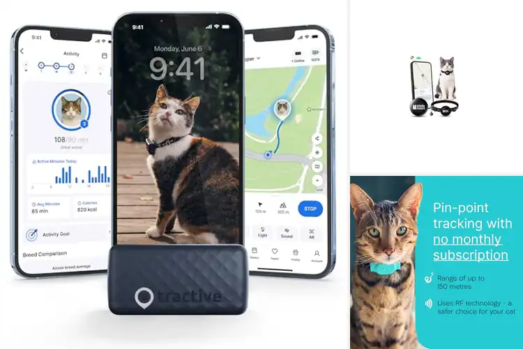 Detailed view of Best Battery Powered Cat Trackers