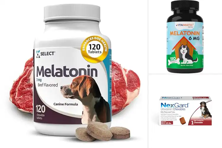 Detailed view of Best Beef Flavored Chewable Tablets For Dogs
