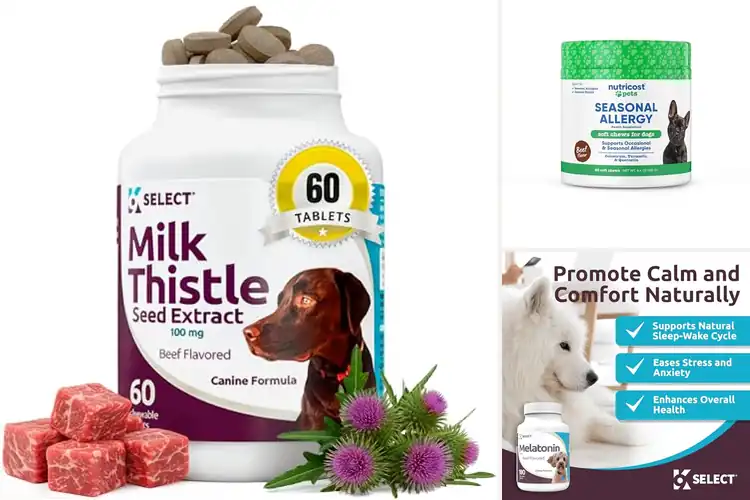 Detailed view of Best Beef-Flavored Dog Supplements