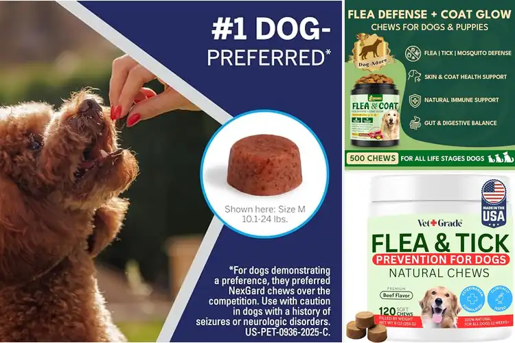 Detailed view of Best Beef-Flavored Flea Treatments