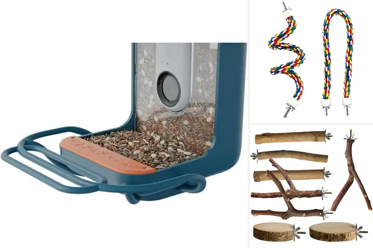 Detailed view of Best Bird Perch Accessories: 10 Top Picks for Fun & Health