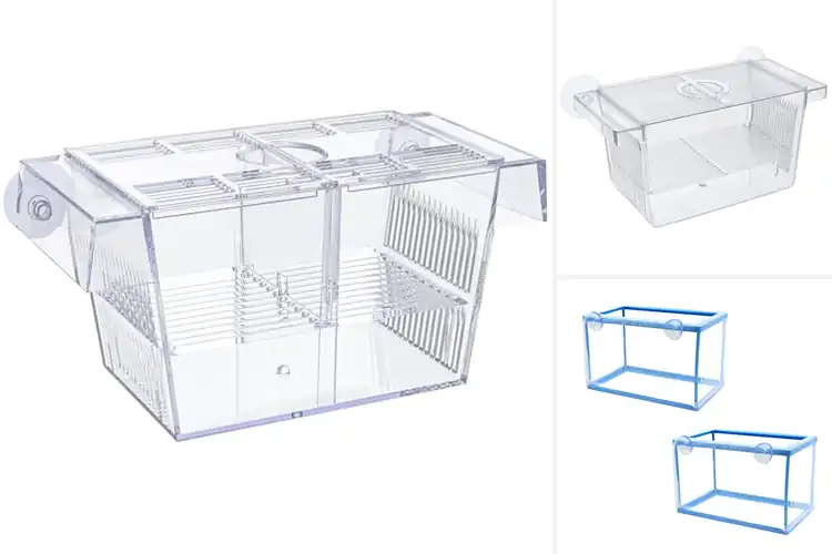 Detailed view of Best Breeding Tanks For Fish: 10 Safe Nurseries for Fry