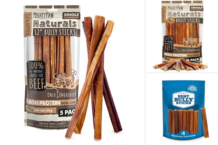 Detailed view of Best Bully Sticks: 10 Natural, Healthy Treats for Happy Dogs