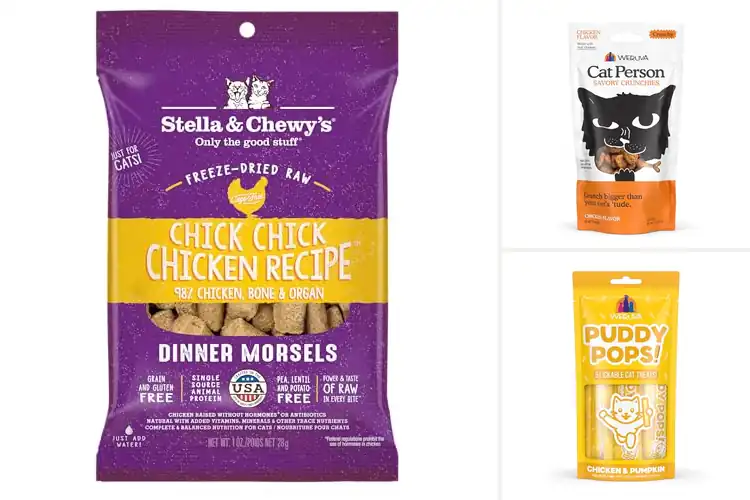 Detailed view of Best Cage Free Chicken Flavor Cat Treats