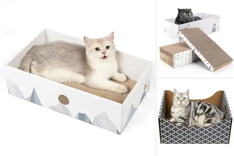 Detailed view of Best Cardboard Cat Scratcher Box: 10 Happy Cat Picks