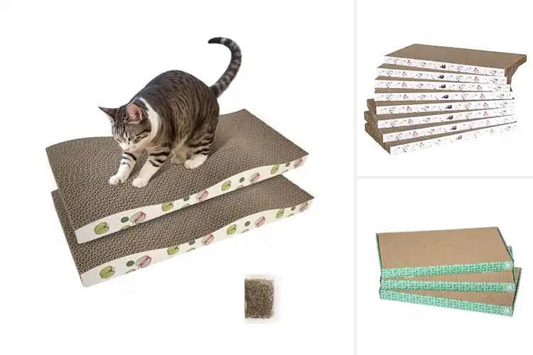 Detailed view of Best Cardboard Cat Scratchers to Protect Your Furniture