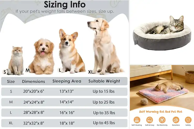 Detailed view of Best Cat Beds: Top 10 Cozy Picks for Your Feline’s Comfort