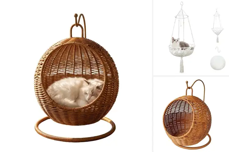 Detailed view of Best Cat Beds with Hanging Baskets
