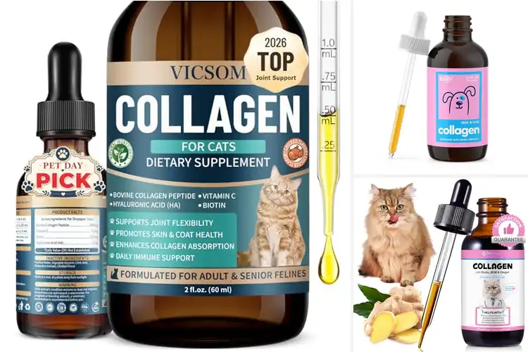 Detailed view of Best Cat Collagen Supplements