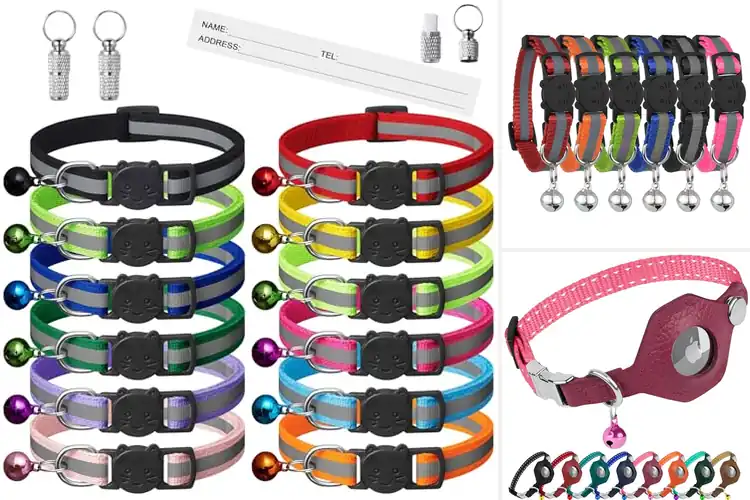 Detailed view of Best Cat Collars