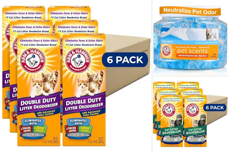 Detailed view of Best Cat Deodorizers