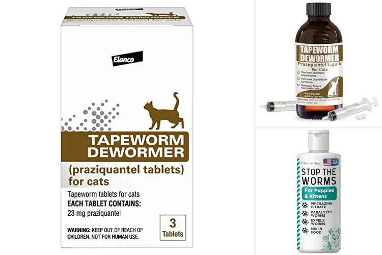Detailed view of Best Cat Dewormers: Safe, Fast & Gentle Treatments Guide
