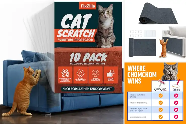 Detailed view of Best Cat Furniture Items