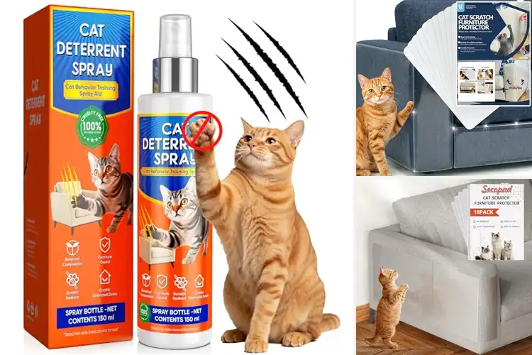 Detailed view of Best Cat Furniture Solutions