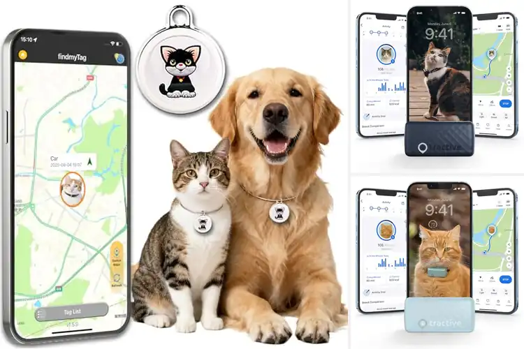 Detailed view of Best Cat GPS Tracker: Top Picks for Safety & Peace of Mind