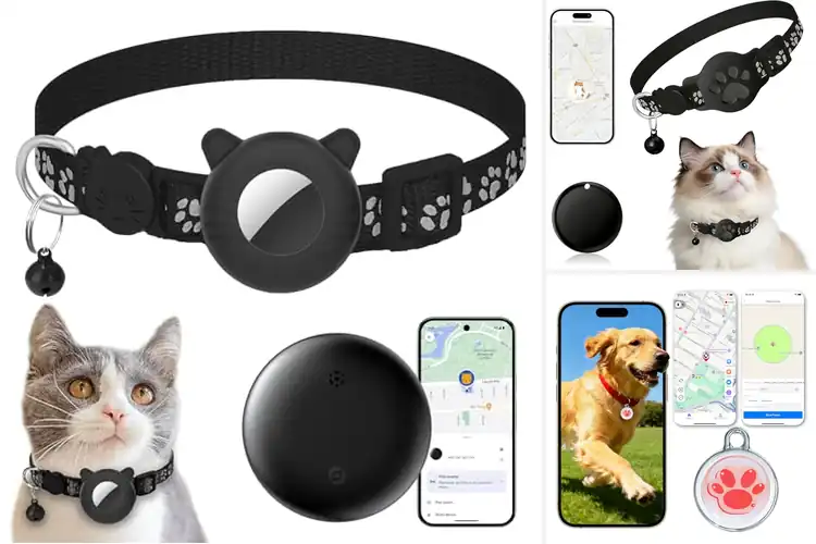 Detailed view of Best Cat GPS Trackers With No Monthly Fee