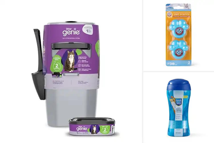 Detailed view of Best Cat Litter Accessories