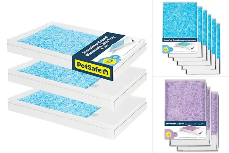 Detailed view of Best Cat Litter Box Refills