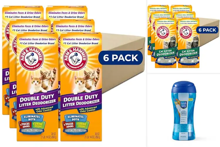 Detailed view of Best Cat Litter Deodorizers for a Fresh Home: Top 10 Picks