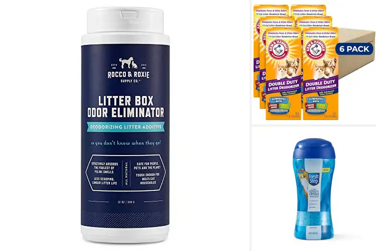 Detailed view of Best Cat Litter Odor Eliminators for a Fresh, Clean Home