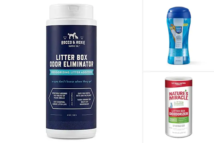 Detailed view of Best Cat Litter Odor Solutions: Fresh Home, Happy Cats